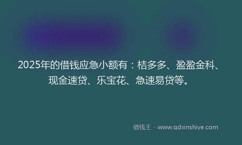 2025年的借钱应急小额有：桔多多、盈盈金科、现金速贷、乐宝花、急速易贷等。