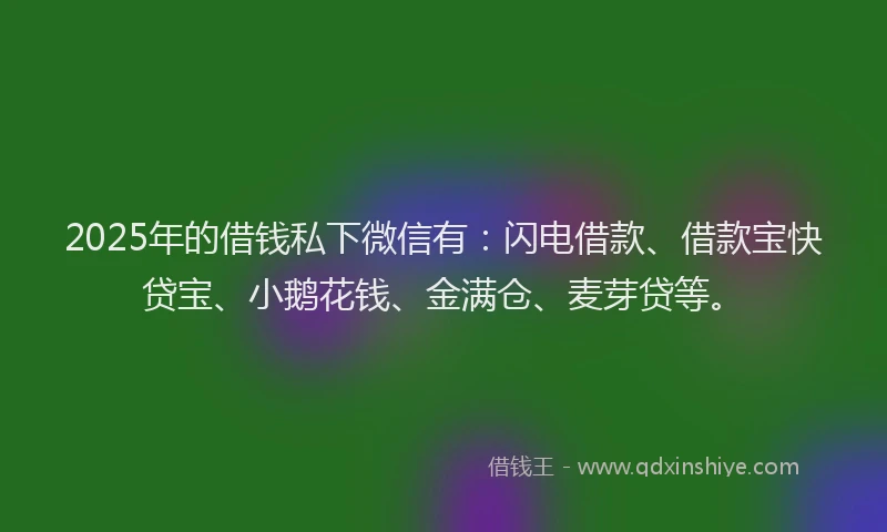 2025年的借钱私下微信有：闪电借款、借款宝快贷宝、小鹅花钱、金满仓、麦芽贷等。