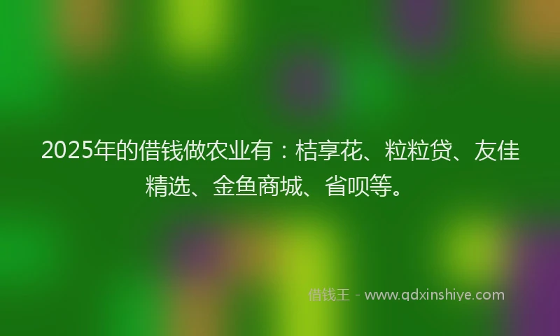 2025年的借钱做农业有：桔享花、粒粒贷、友佳精选、金鱼商城、省呗等。