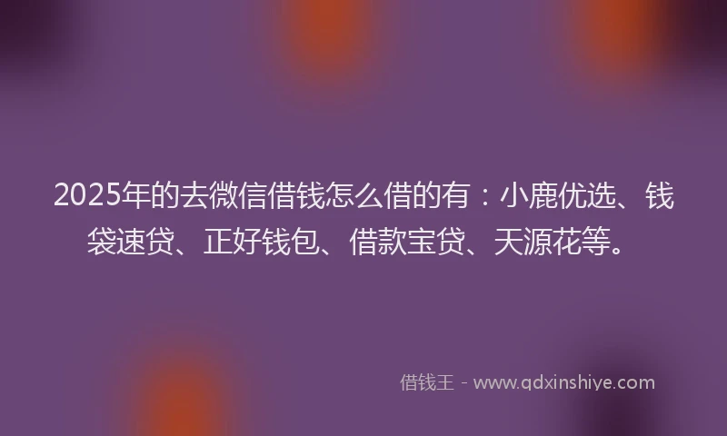 2025年的去微信借钱怎么借的有：小鹿优选、钱袋速贷、正好钱包、借款宝贷、天源花等。