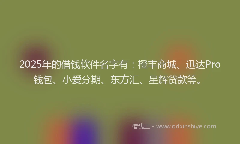 2025年的借钱软件名字有：橙丰商城、迅达Pro钱包、小爱分期、东方汇、星辉贷款等。