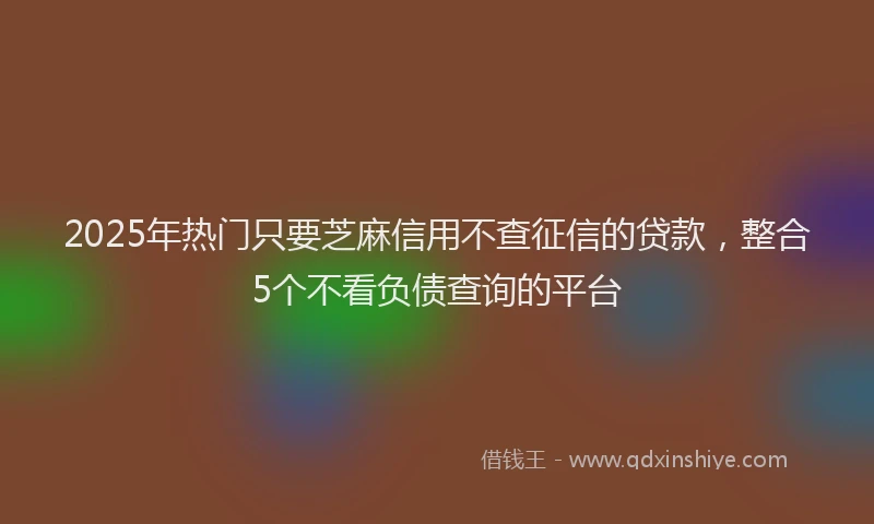 2025年热门只要芝麻信用不查征信的贷款，整合5个不看负债查询的平台
