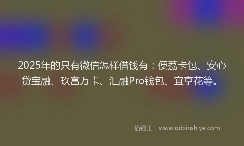 2025年的只有微信怎样借钱有：便荔卡包、安心贷宝融、玖富万卡、汇融Pro钱包、宜享花等。