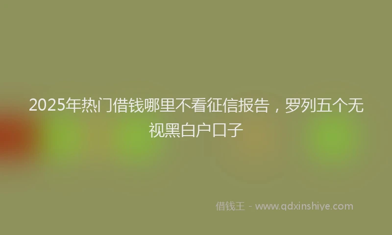 2025年热门借钱哪里不看征信报告，罗列五个无视黑白户口子