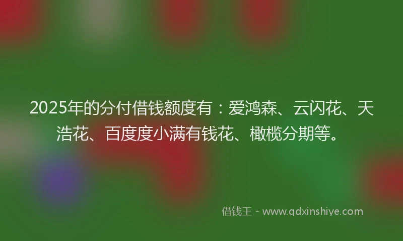 2025年的分付借钱额度有：爱鸿森、云闪花、天浩花、百度度小满有钱花、橄榄分期等。