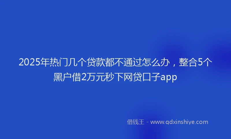 2025年热门几个贷款都不通过怎么办，整合5个黑户借2万元秒下网贷口子app