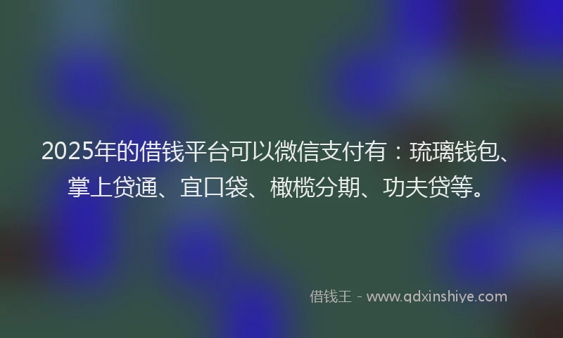 2025年的借钱平台可以微信支付有：琉璃钱包、掌上贷通、宜口袋、橄榄分期、功夫贷等。