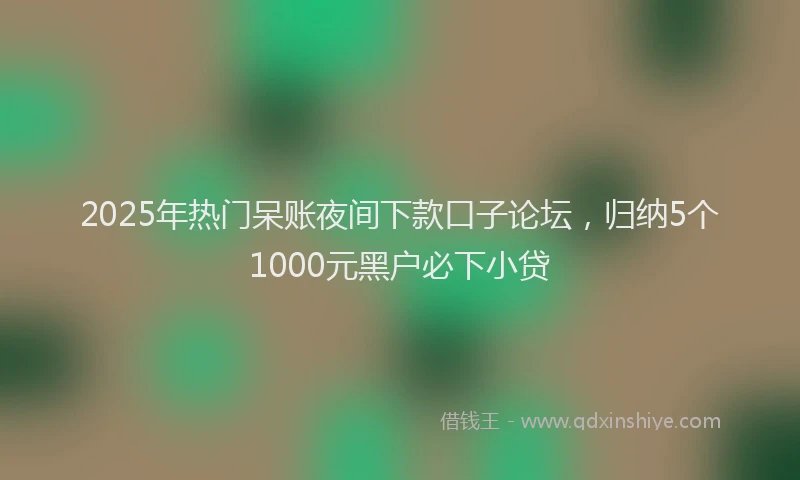 2025年热门呆账夜间下款口子论坛，归纳5个1000元黑户必下小贷