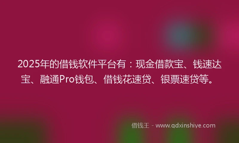 2025年的借钱软件平台有：现金借款宝、钱速达宝、融通Pro钱包、借钱花速贷、银票速贷等。