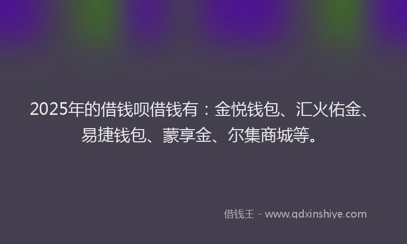 2025年的借钱呗借钱有：金悦钱包、汇火佑金、易捷钱包、蒙享金、尔集商城等。