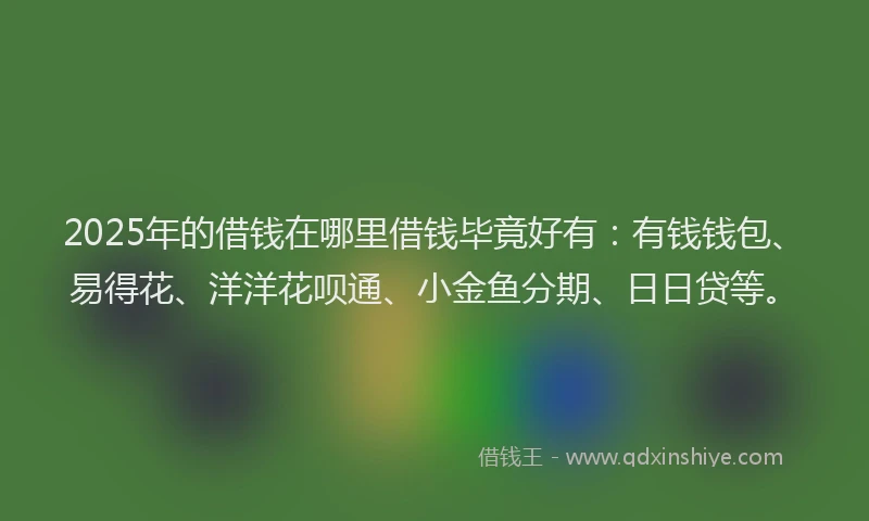 2025年的借钱在哪里借钱毕竟好有：有钱钱包、易得花、洋洋花呗通、小金鱼分期、日日贷等。