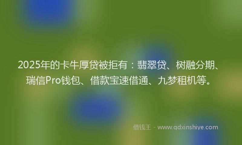 2025年的卡牛厚贷被拒有：翡翠贷、树融分期、瑞信Pro钱包、借款宝速借通、九梦租机等。