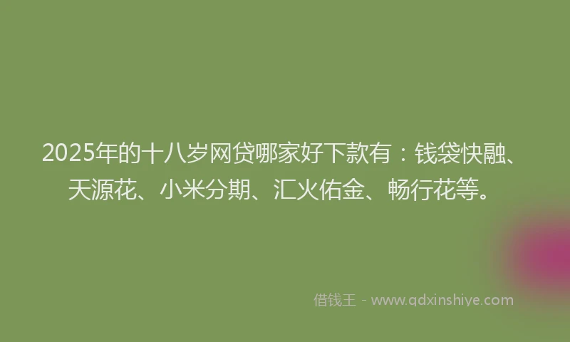 2025年的十八岁网贷哪家好下款有：钱袋快融、天源花、小米分期、汇火佑金、畅行花等。
