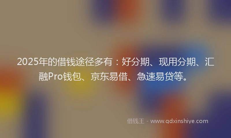 2025年的借钱途径多有：好分期、现用分期、汇融Pro钱包、京东易借、急速易贷等。