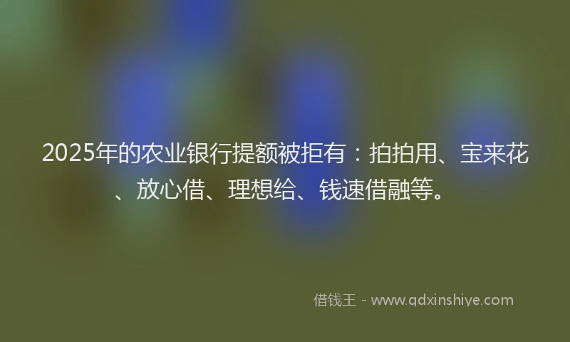 2025年的农业银行提额被拒有：拍拍用、宝来花、放心借、理想给、钱速借融等。