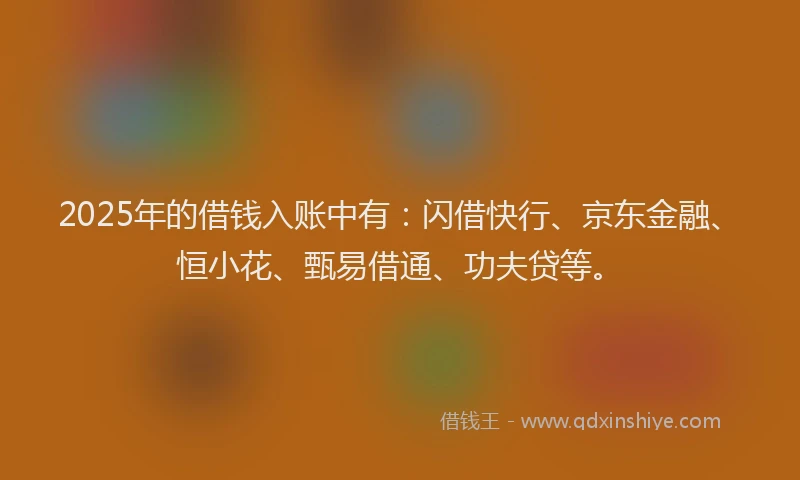 2025年的借钱入账中有：闪借快行、京东金融、恒小花、甄易借通、功夫贷等。
