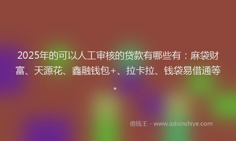 2025年的可以人工审核的贷款有哪些有：麻袋财富、天源花、鑫融钱包+、拉卡拉、钱袋易借通等。