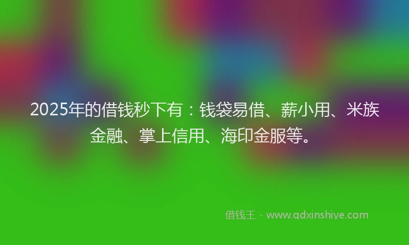 2025年的借钱秒下有：钱袋易借、薪小用、米族金融、掌上信用、海印金服等。