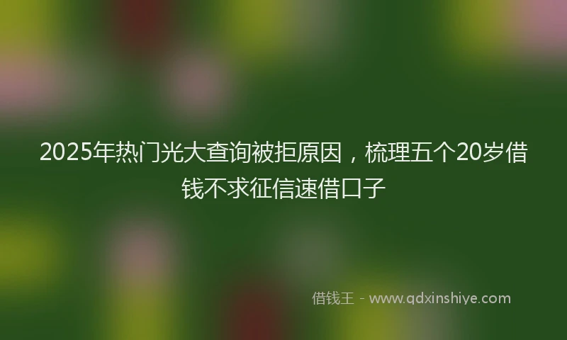 2025年热门光大查询被拒原因，梳理五个20岁借钱不求征信速借口子