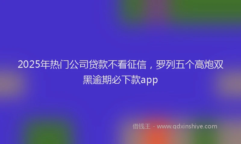 2025年热门公司贷款不看征信，罗列五个高炮双黑逾期必下款app