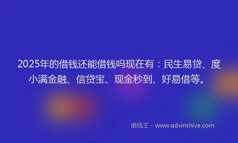 2025年的借钱还能借钱吗现在有：民生易贷、度小满金融、信贷宝、现金秒到、好易借等。
