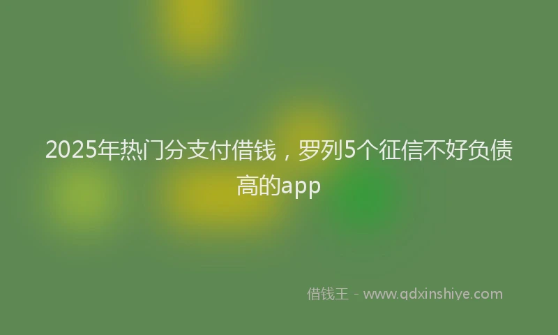 2025年热门分支付借钱，罗列5个征信不好负债高的app
