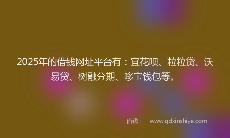 2025年的借钱网址平台有：宜花呗、粒粒贷、沃易贷、树融分期、哆宝钱包等。