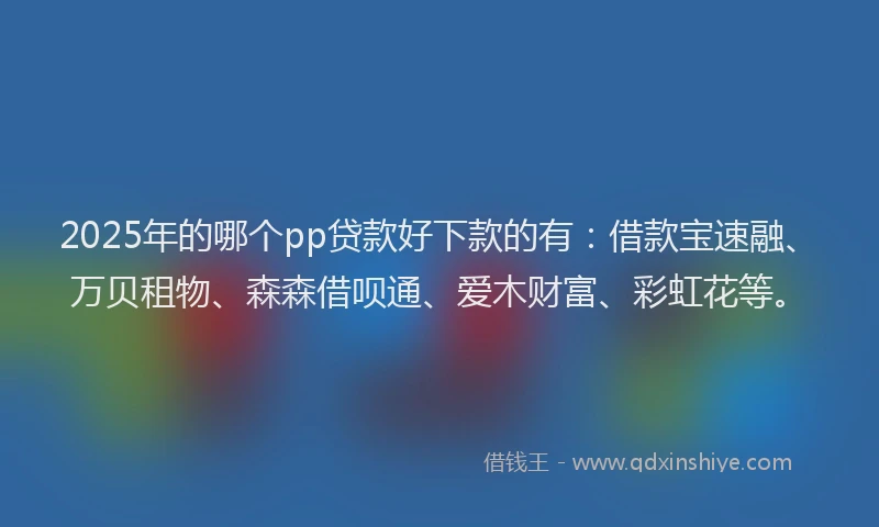 2025年的哪个pp贷款好下款的有：借款宝速融、万贝租物、森森借呗通、爱木财富、彩虹花等。