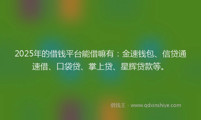 2025年的借钱平台能借嘛有：金速钱包、信贷通速借、口袋贷、掌上贷、星辉贷款等。