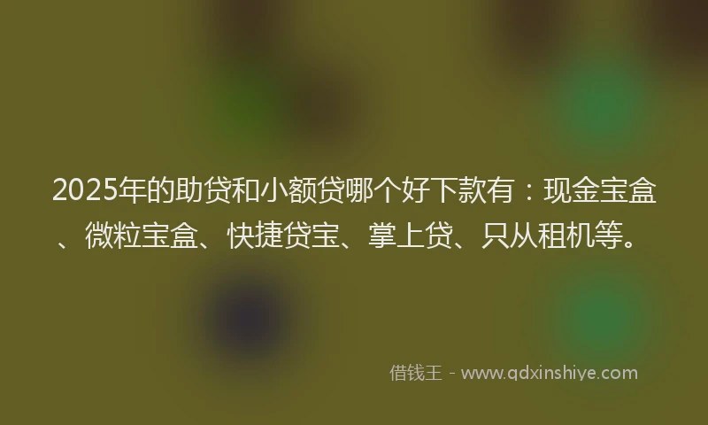 2025年的助贷和小额贷哪个好下款有：现金宝盒、微粒宝盒、快捷贷宝、掌上贷、只从租机等。