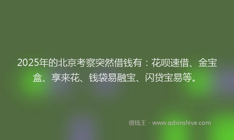 2025年的北京考察突然借钱有：花呗速借、金宝盒、享来花、钱袋易融宝、闪贷宝易等。