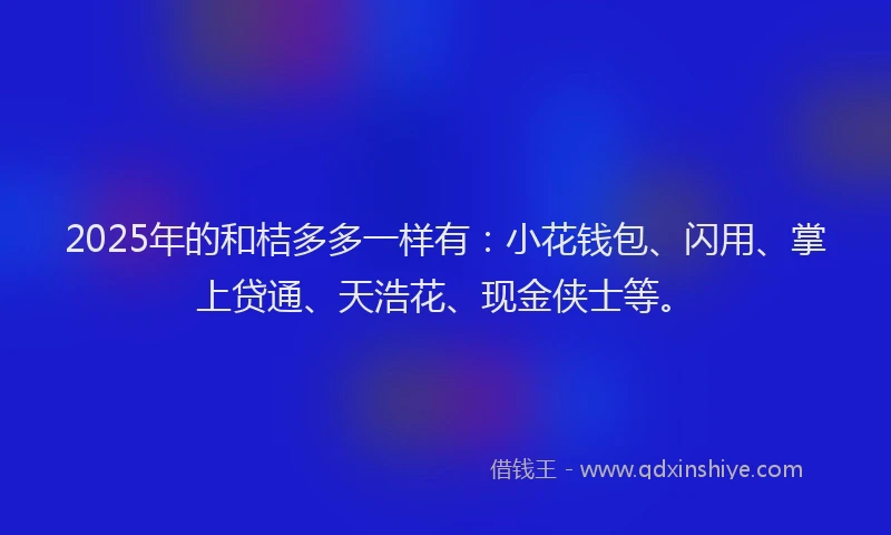 2025年的和桔多多一样有：小花钱包、闪用、掌上贷通、天浩花、现金侠士等。