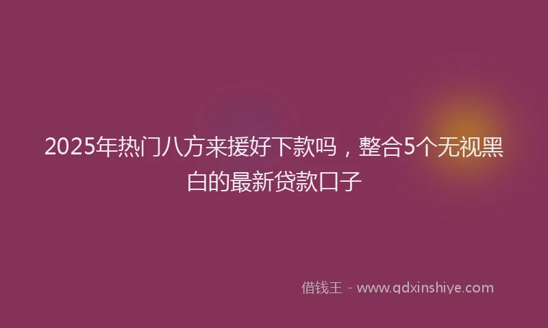 2025年热门八方来援好下款吗，整合5个无视黑白的最新贷款口子