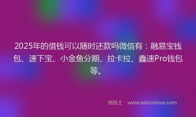 2025年的借钱可以随时还款吗微信有：融易宝钱包、速下宝、小金鱼分期、拉卡拉、鑫速Pro钱包等。