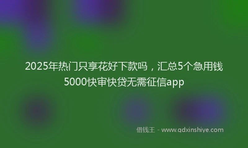 2025年热门只享花好下款吗，汇总5个急用钱5000快审快贷无需征信app