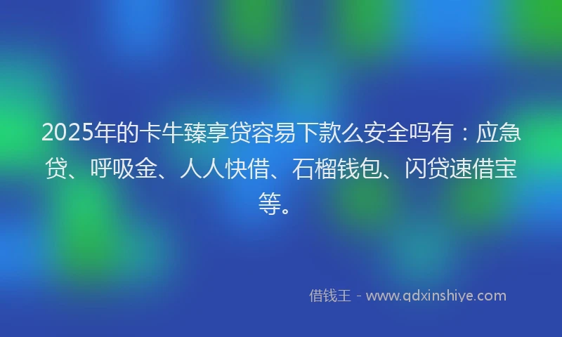 2025年的卡牛臻享贷容易下款么安全吗有：应急贷、呼吸金、人人快借、石榴钱包、闪贷速借宝等。