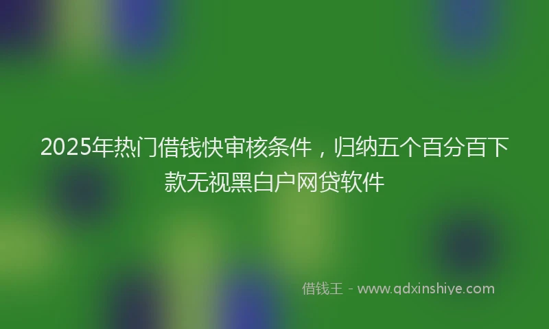 2025年热门借钱快审核条件，归纳五个百分百下款无视黑白户网贷软件