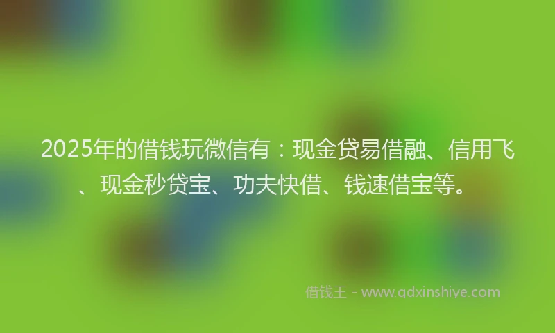 2025年的借钱玩微信有：现金贷易借融、信用飞、现金秒贷宝、功夫快借、钱速借宝等。