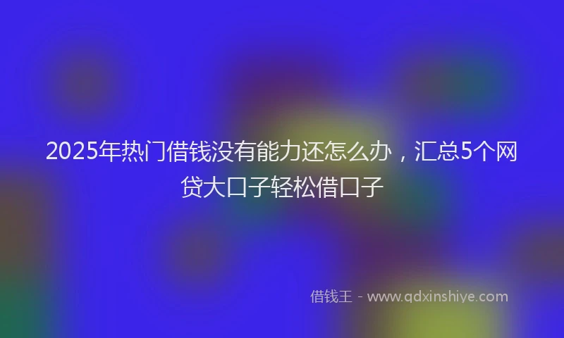 2025年热门借钱没有能力还怎么办，汇总5个网贷大口子轻松借口子