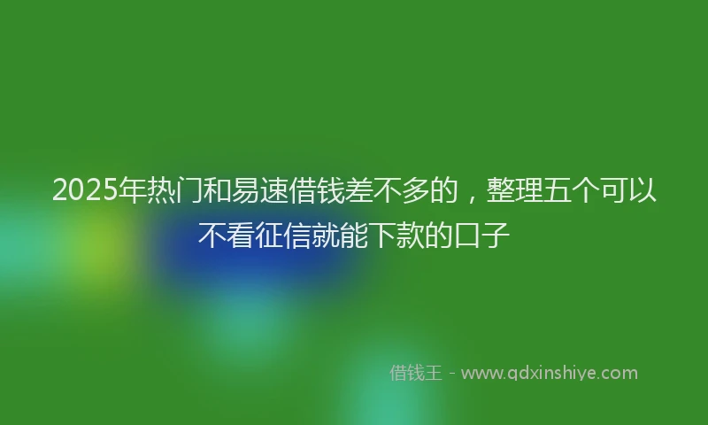 2025年热门和易速借钱差不多的，整理五个可以不看征信就能下款的口子
