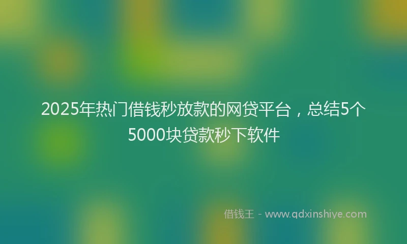 2025年热门借钱秒放款的网贷平台，总结5个5000块贷款秒下软件