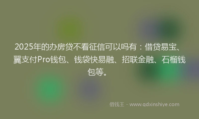 2025年的办房贷不看征信可以吗有：借贷易宝、翼支付Pro钱包、钱袋快易融、招联金融、石榴钱包等。