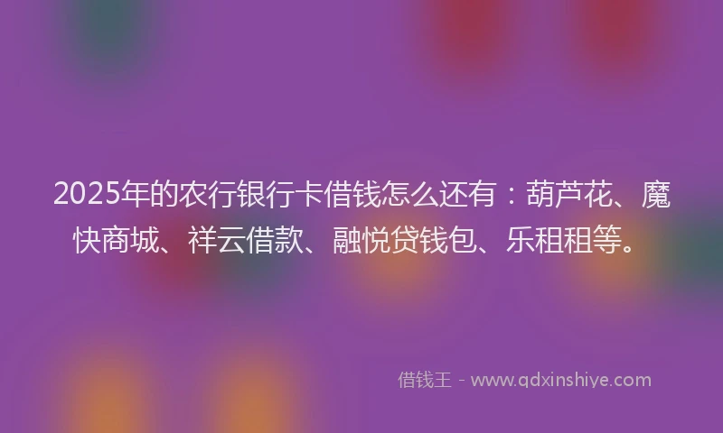2025年的农行银行卡借钱怎么还有：葫芦花、魔快商城、祥云借款、融悦贷钱包、乐租租等。
