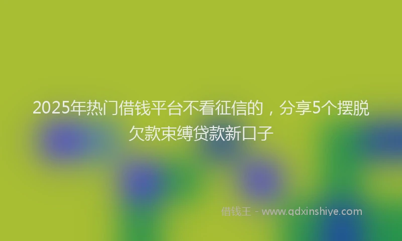 2025年热门借钱平台不看征信的，分享5个摆脱欠款束缚贷款新口子