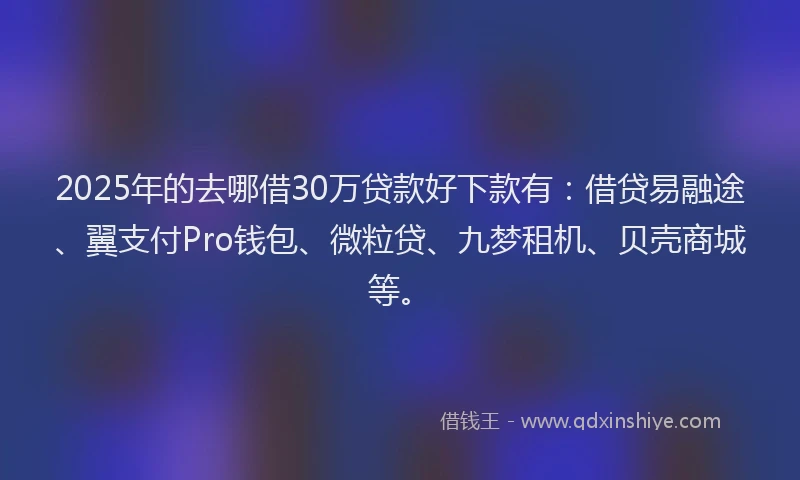 2025年的去哪借30万贷款好下款有：借贷易融途、翼支付Pro钱包、微粒贷、九梦租机、贝壳商城等。