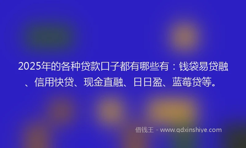2025年的各种贷款口子都有哪些有：钱袋易贷融、信用快贷、现金直融、日日盈、蓝莓贷等。