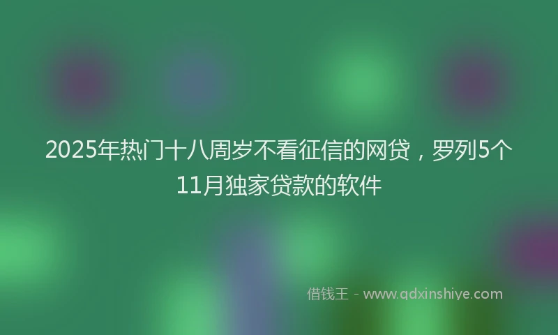 2025年热门十八周岁不看征信的网贷，罗列5个11月独家贷款的软件