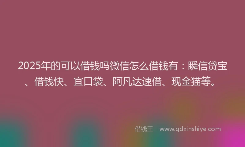 2025年的可以借钱吗微信怎么借钱有：瞬信贷宝、借钱快、宜口袋、阿凡达速借、现金猫等。