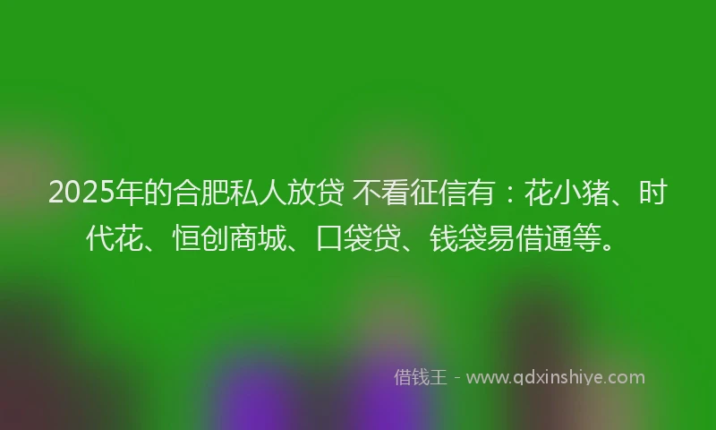 2025年的合肥私人放贷 不看征信有：花小猪、时代花、恒创商城、口袋贷、钱袋易借通等。