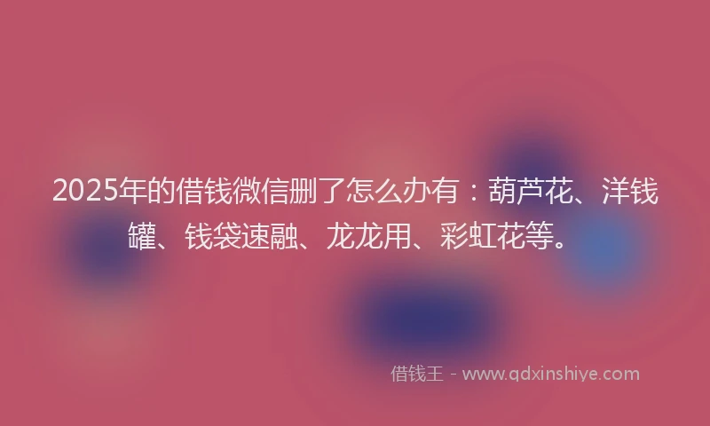 2025年的借钱微信删了怎么办有：葫芦花、洋钱罐、钱袋速融、龙龙用、彩虹花等。